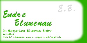 endre blumenau business card